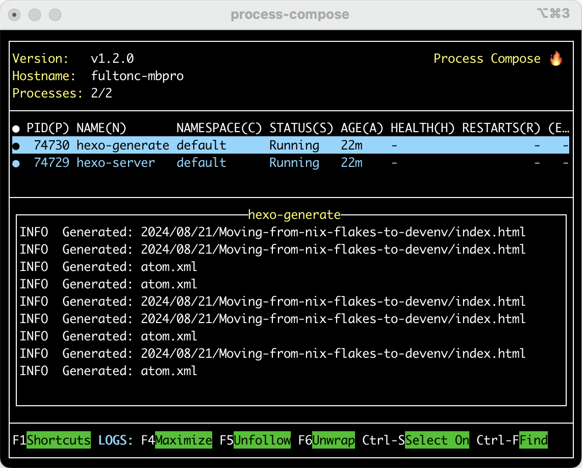 Process-compose showing both processes; hexo has just regenerated this post